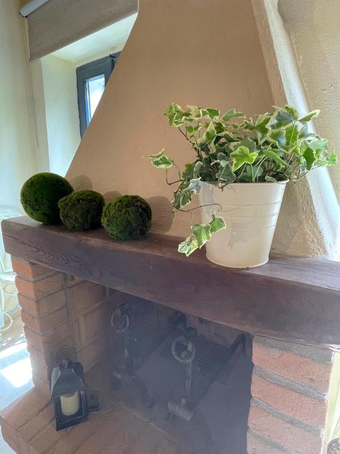 Saturnia Country Loft Daire Montemerano Dış mekan fotoğraf